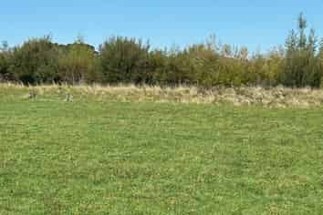 1 Broomfield Road, Woodville