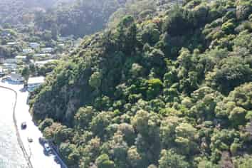 249 Marine Drive, Lowry Bay