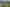 Northland - Address withheld