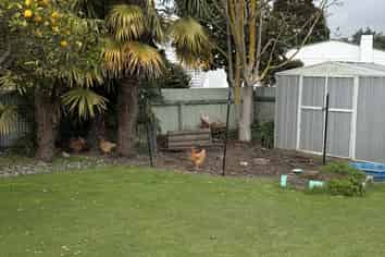 103 Terrace Road, Parkvale