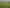 152 Kingsdale Park Drive, Aokautere