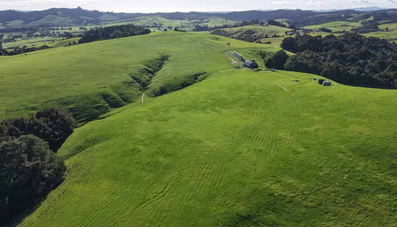 256 McIntyre Road, Kerikeri Surrounds