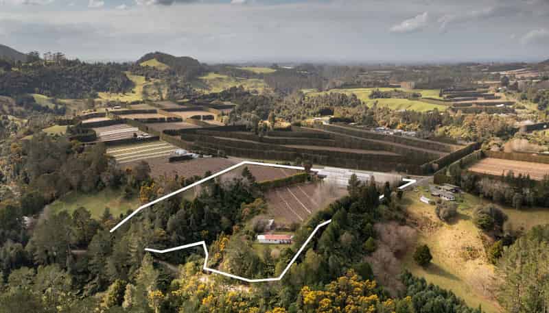 1164 No 3 Road, Te Puke