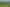51 Charles Edwards Street, Ohaupo