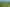 51 Charles Edwards Street, Ohaupo