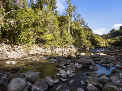 393A Wharawhara Road, Katikati