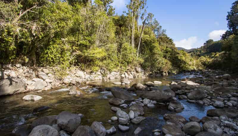 393A Wharawhara Road, Katikati