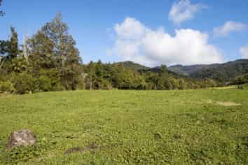 393A Wharawhara Road, Katikati