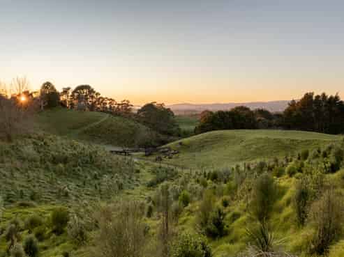 15D Junction Road (Lot 1), Te Puna