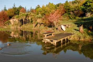 1555B State Highway 2, Whakamarama