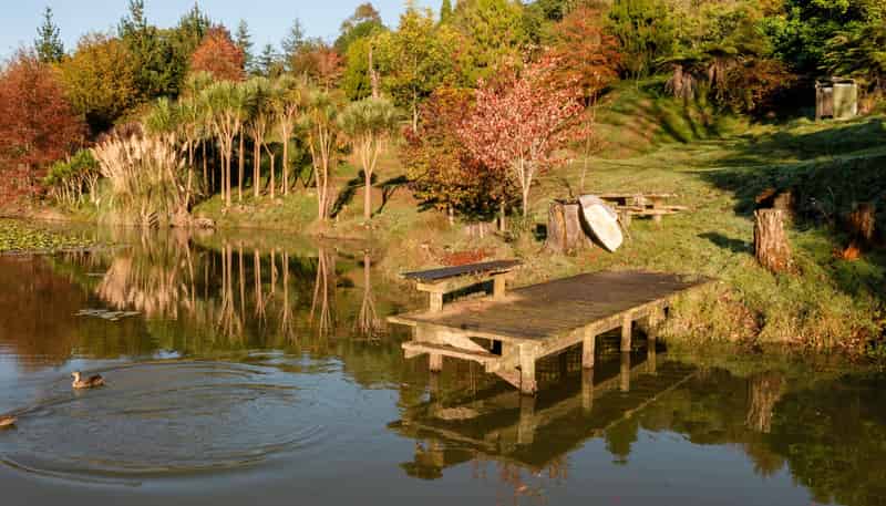 1555B State Highway 2, Whakamarama