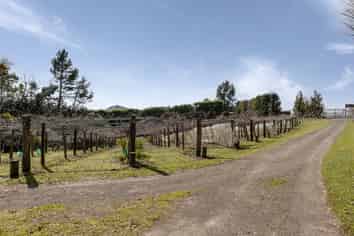 1164 Number 3 Road, Te Puke