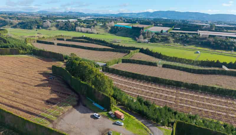 102A&B Huse Lane, Te Puke