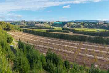 102A&B Huse Lane, Te Puke