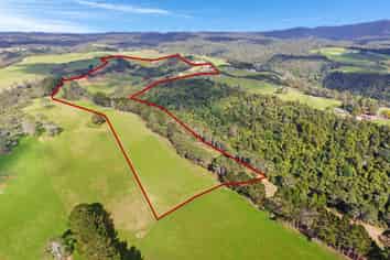 687 Work Road, Whakamarama