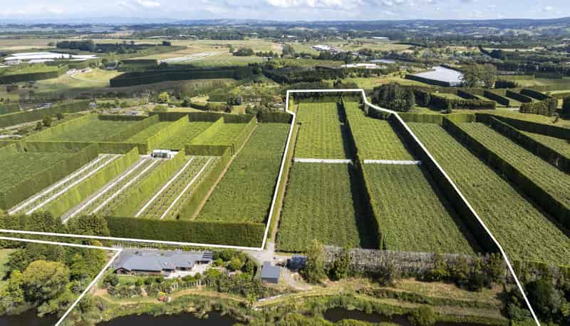 62 Elmwood Road, Aongatete