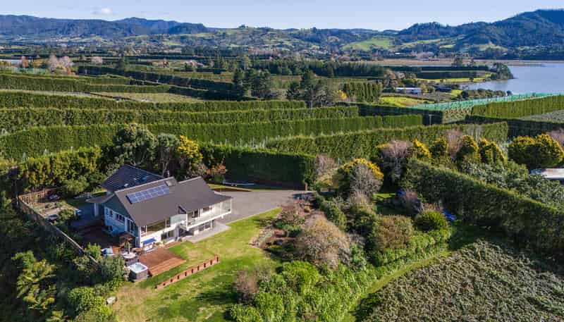 252 Tuapiro Road, Katikati