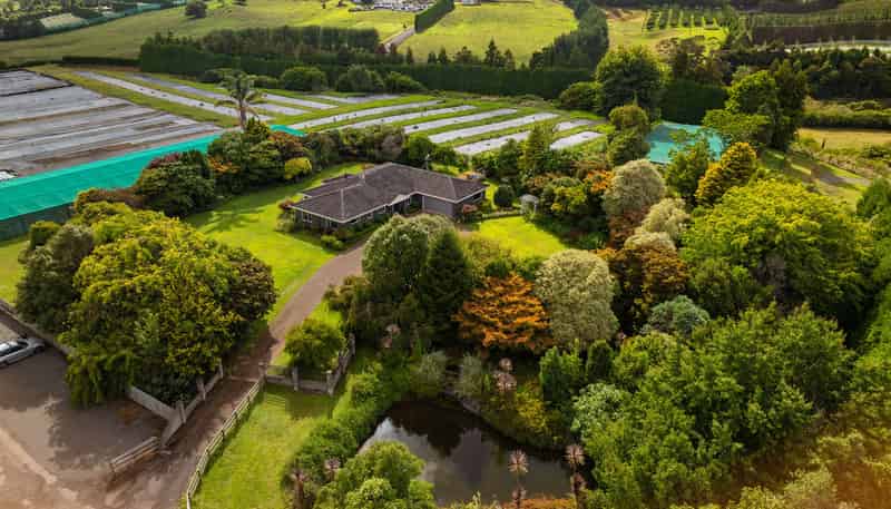 389 Old Highway, Whakamarama