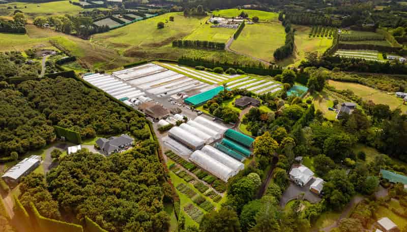 389 Old Highway, Whakamarama