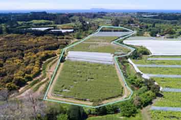 41D Ross Ware Drive, Athenree