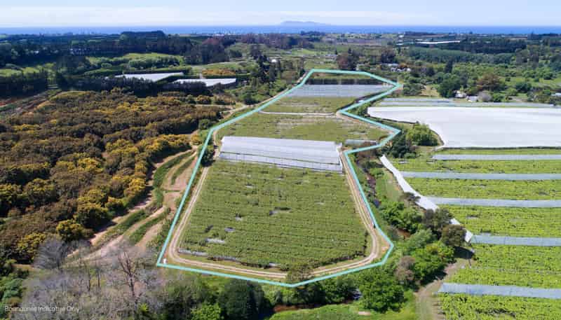 41D Ross Ware Drive, Athenree