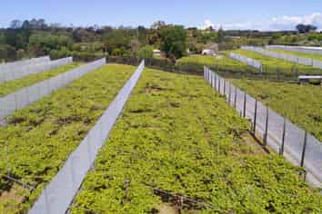 41D Ross Ware Drive, Athenree