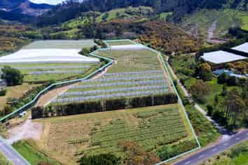 41D Ross Ware Drive, Athenree