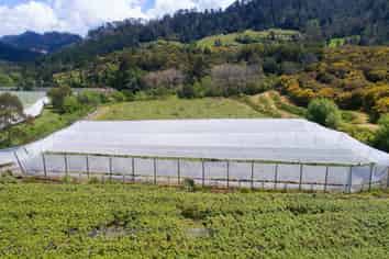 41D Ross Ware Drive, Athenree