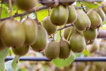 41D Ross Ware Drive, Athenree