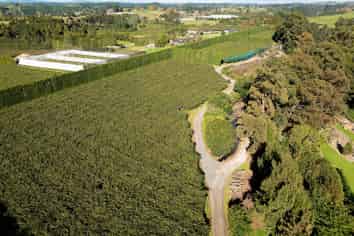 172 Maungarangi Road, Te Puke