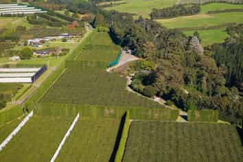 172 Maungarangi Road, Te Puke