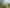 15 Francis Drive, Katikati