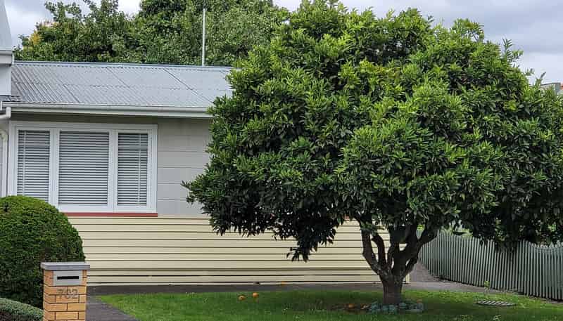 A/702 willowpark Road North, Parkvale