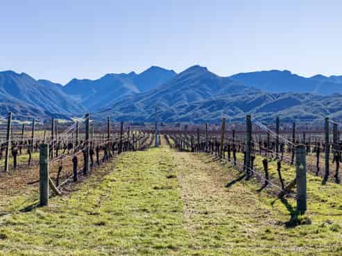 2486 State Highway 63, Wairau Valley