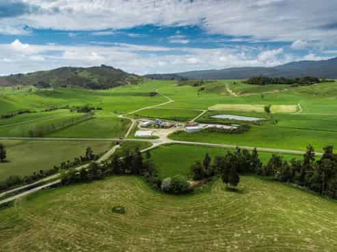 1629 Collingwood-Bainham Main Road, Bainham