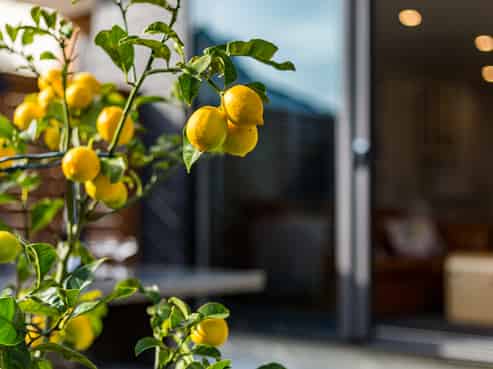 91D Whites Line East, Waiwhetu