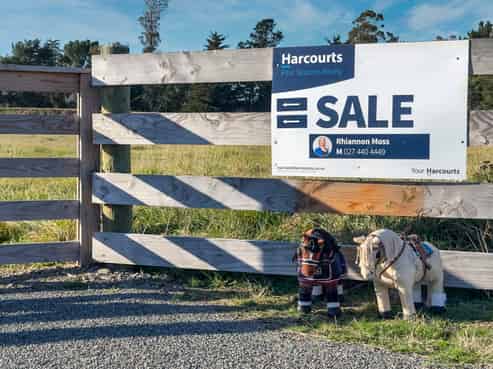 457 Barkers Road, Loburn