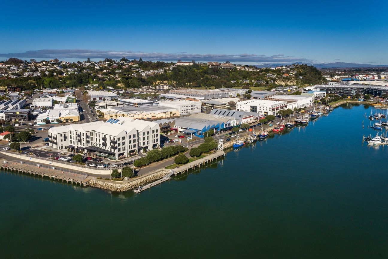 Waterfront office in Ahuriri - View 4