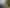 Auckland - Address withheld