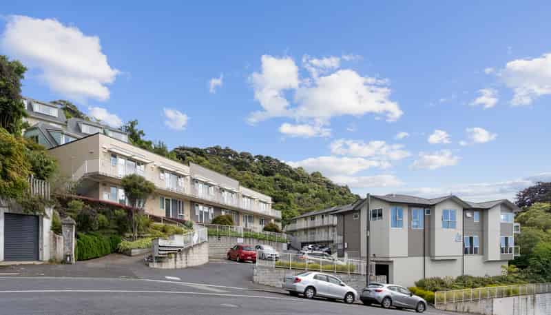 12/50 Park Street, North Dunedin