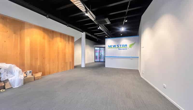 295 Parnell Road, Parnell