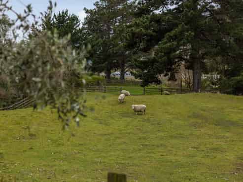 31 End Farm Road , Waikanae
