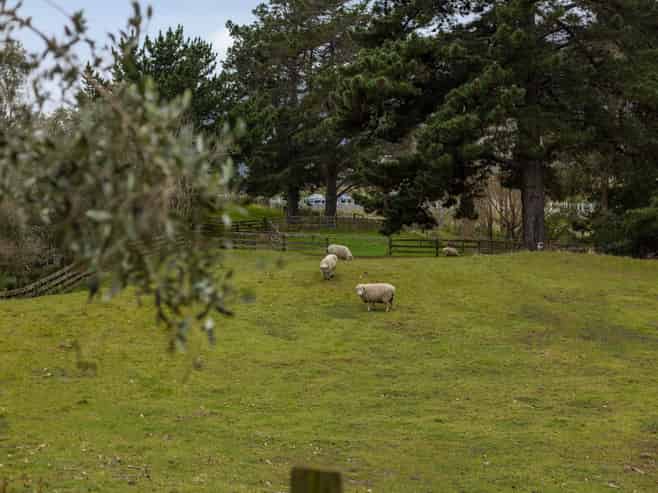 31 End Farm Road , Waikanae
