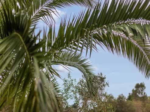 45, 49 and End Farm Road , Waikanae