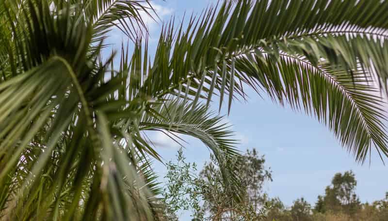 45, 49 and End Farm Road , Waikanae