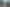 Bay of Plenty - Address withheld