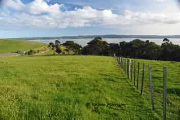 100 Te Wairoa Lane, Matakohe