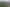 Waikato - Address withheld