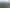 Waikato - Address withheld