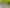 8A 8B & 8C Reseda Place, Papatoetoe